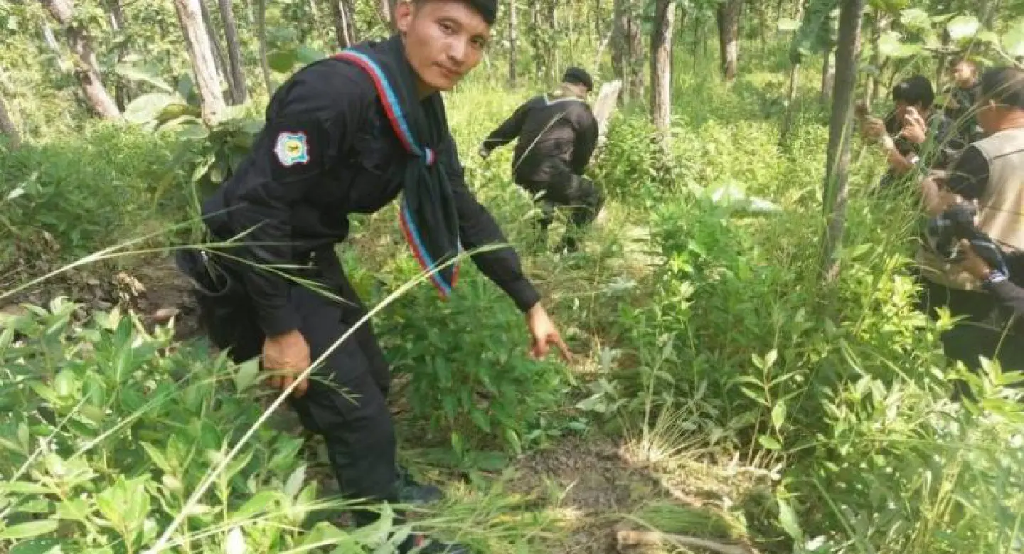 Skull and bones found in search for missing 78-year-old man Skull and bones found in search for missing 78-year-old man