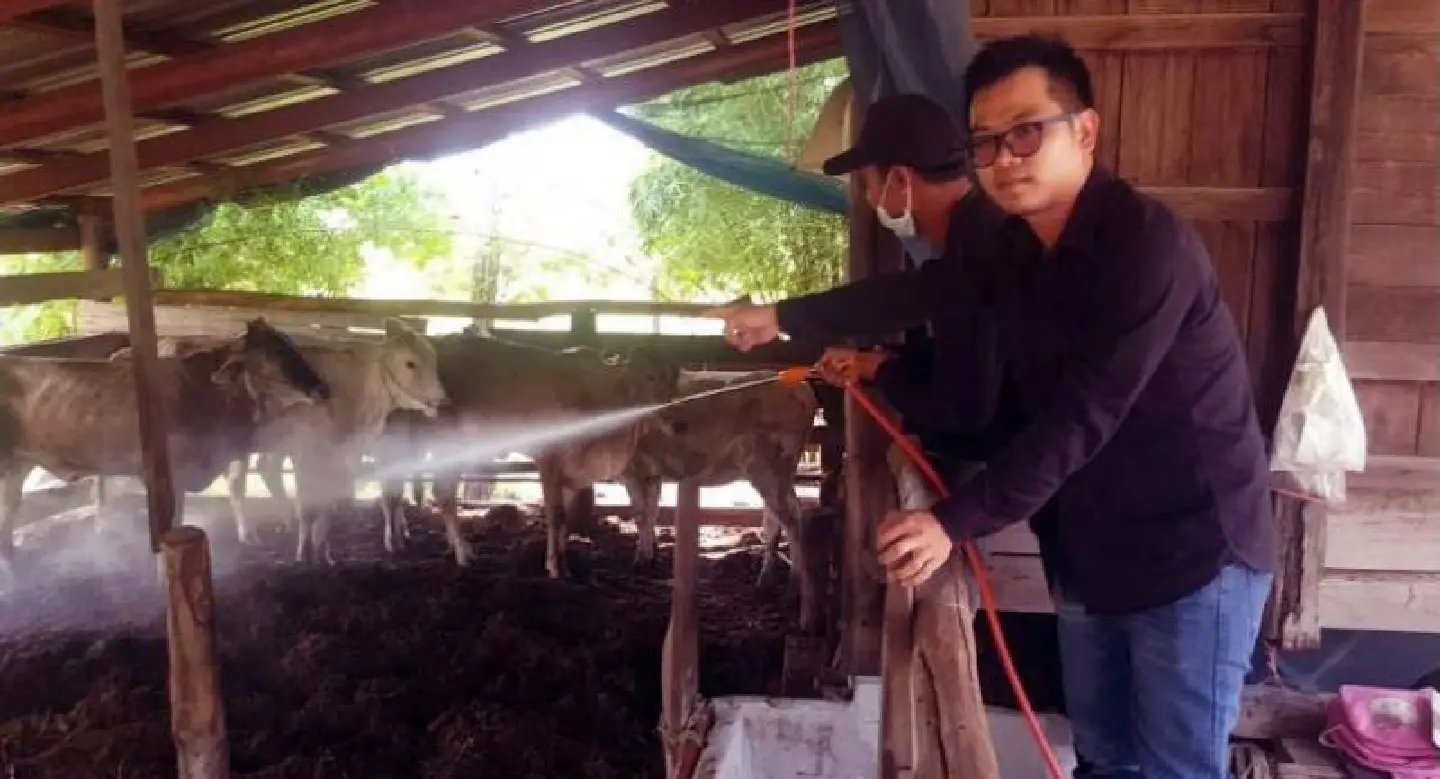 Farmers report foot-and-mouth disease linked to ministry scheme Farmers report foot-and-mouth disease linked to ministry scheme