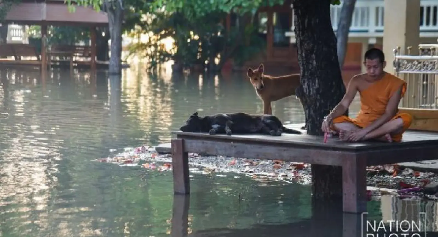 Cabinet extends period for tax claims on flood donations