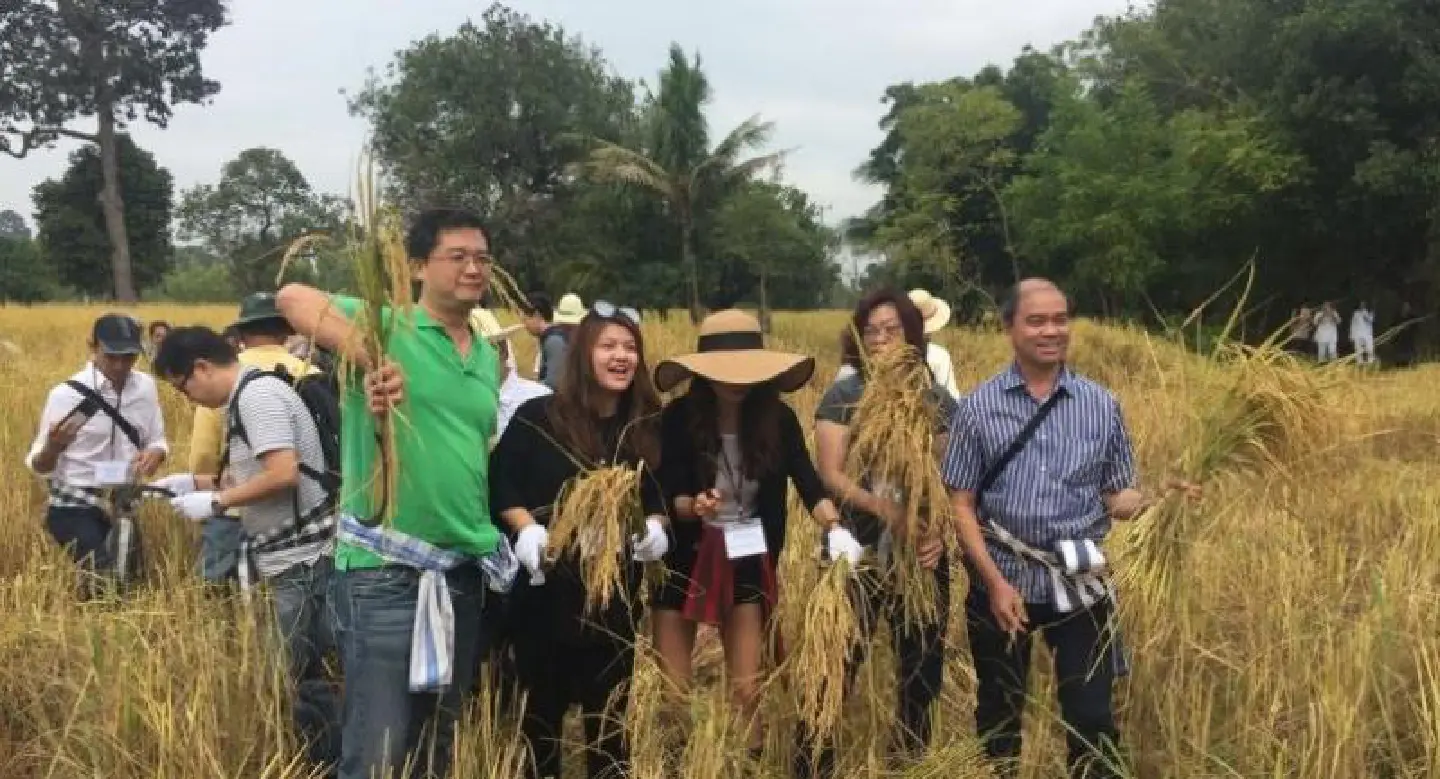 Rice group eyes record exports Rice group eyes record exports