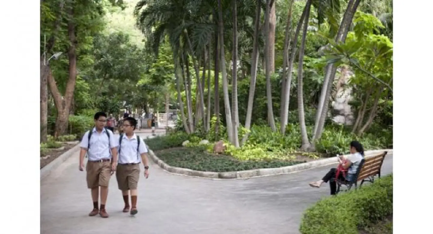 A few look for the park under Taksin bridge A few look for the park under Taksin bridge