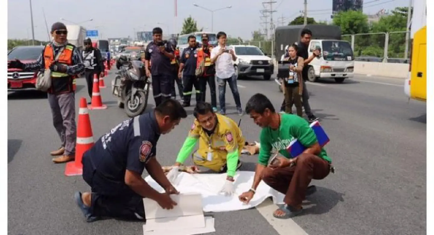 Decomposed body of foetus falls from pickup onto motorway Decomposed body of foetus falls from pickup onto motorway