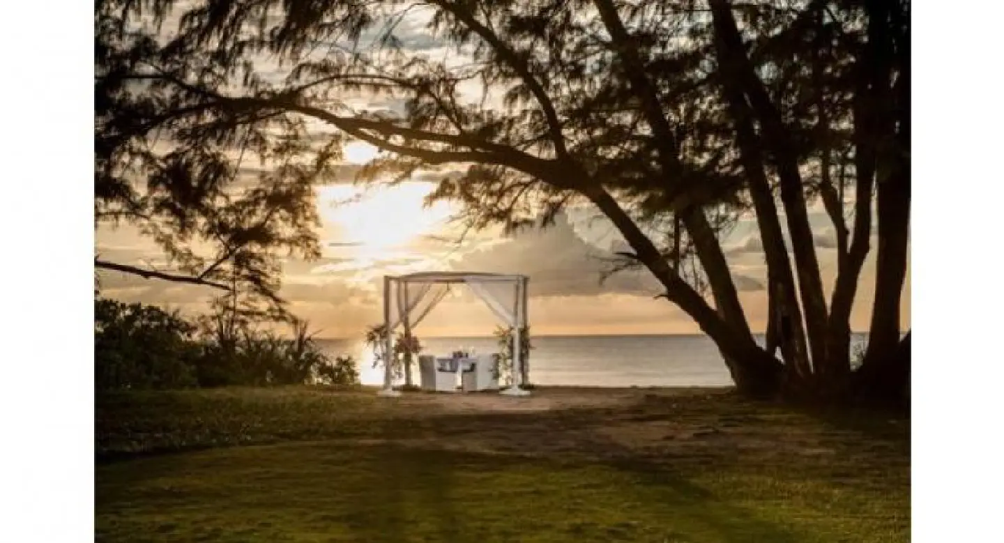 Island romance Island romance