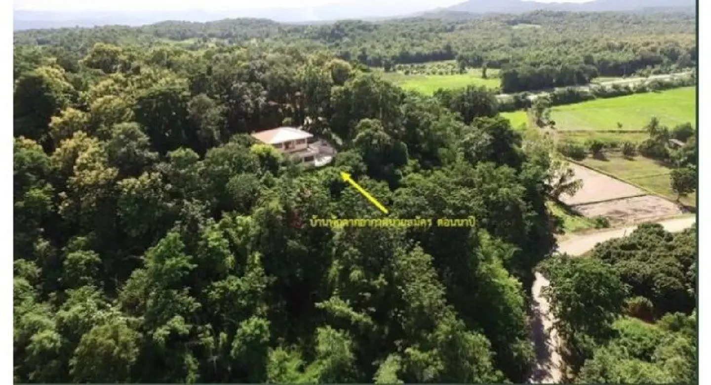 Parks bureau ex-chief faces complaint over alleged encroachment