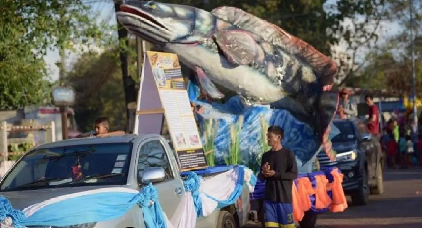 River fish festival livens up Nakhon Phanom River fish festival livens up Nakhon Phanom