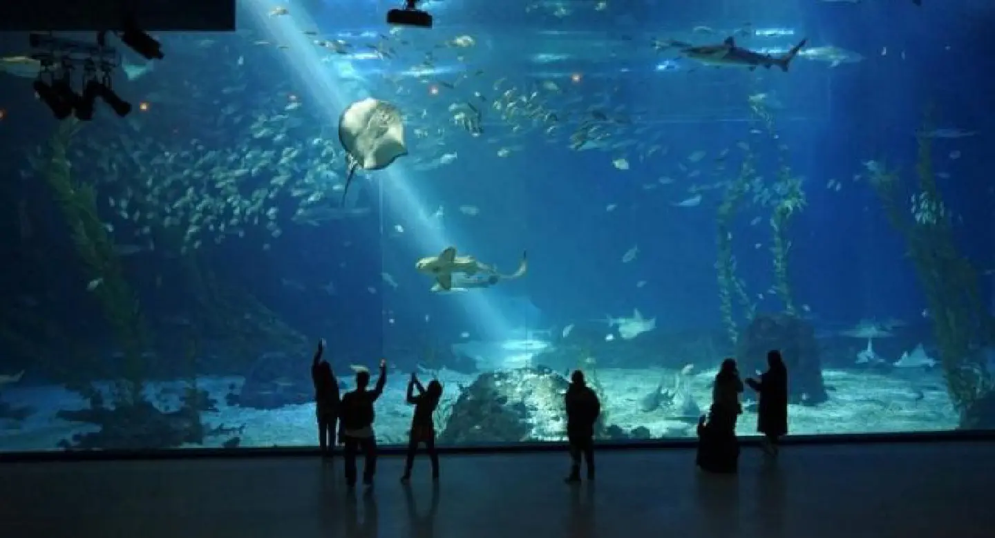 The many charms of Jeju isle