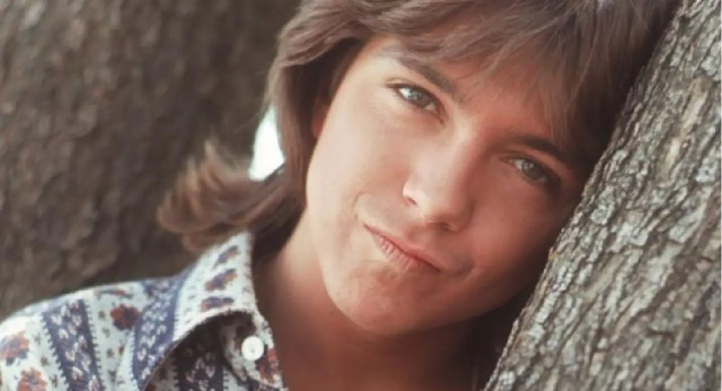 David Cassidy, 1970s heartthrob, dies at 67: publicist David Cassidy, 1970s heartthrob, dies at 67: publicist