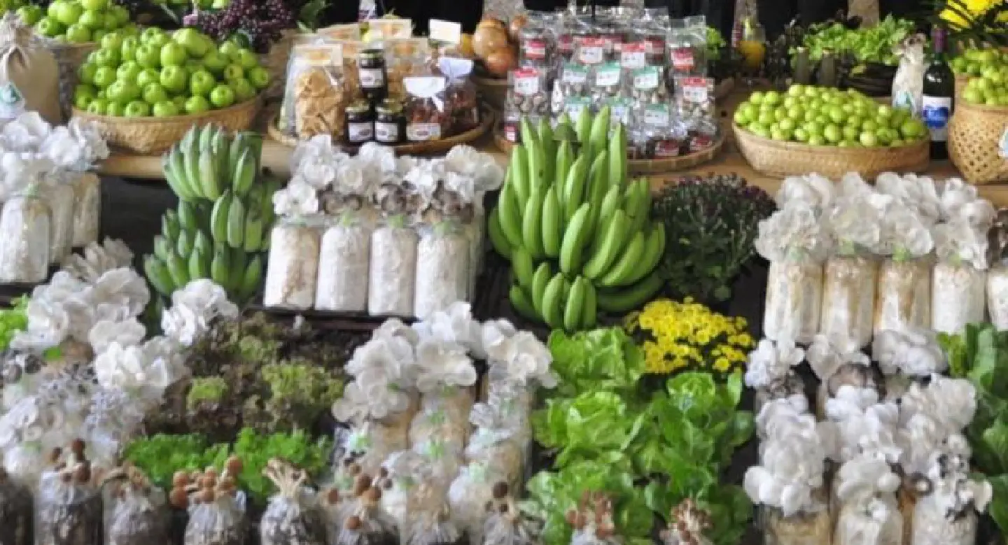 Lawsuit against govt planned as toxins found on popular vegetables Lawsuit against govt planned as toxins found on popular vegetables