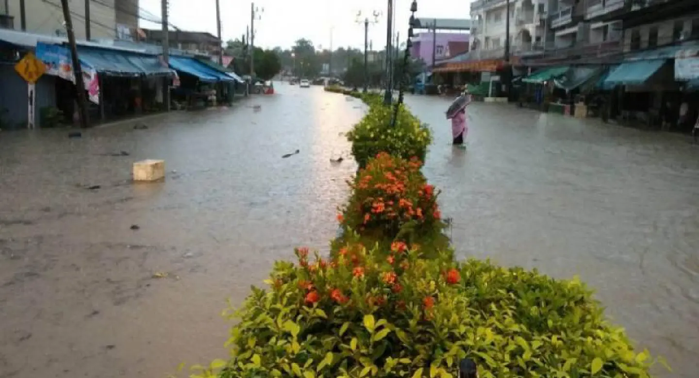 Flood disaster declared in 5 Trang districts amid closures Flood disaster declared in 5 Trang districts amid closures