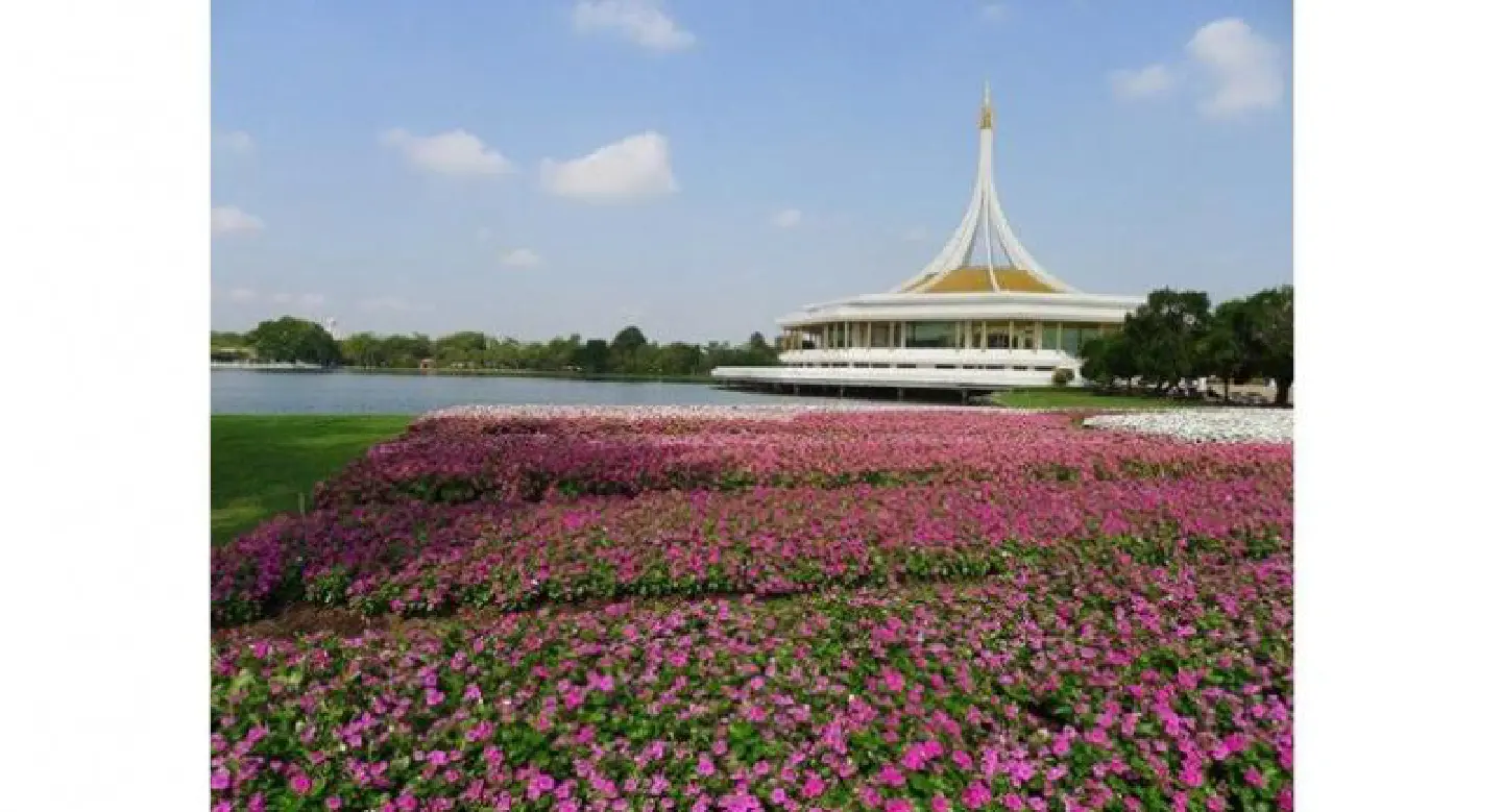 Delightful flower festival at Bangkok's Rama IX Park Delightful flower festival at Bangkok's Rama IX Park