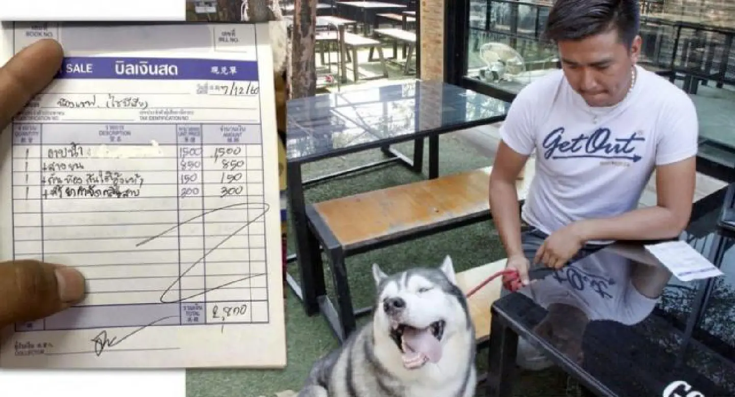 Dog grooming shop fleeced me, says angry owner