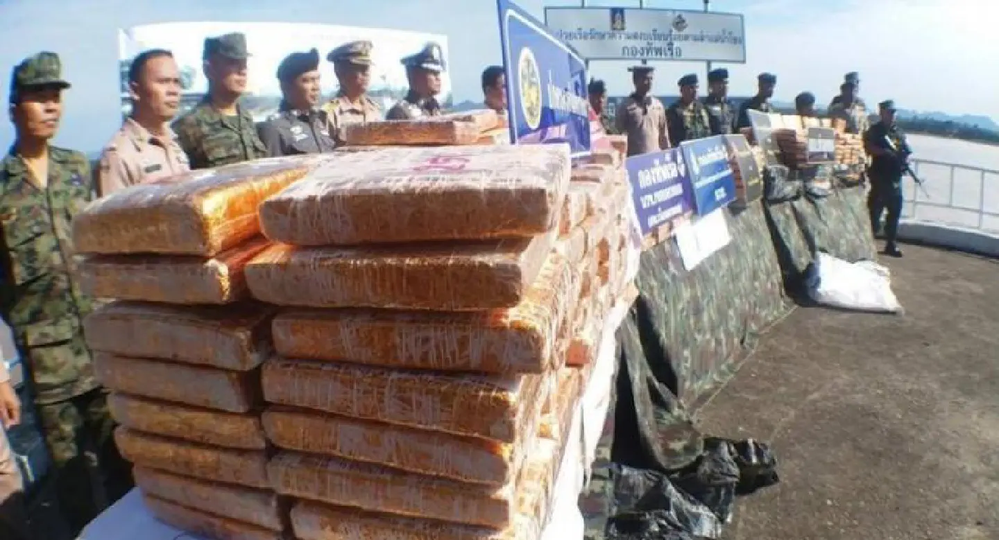 ‘Premium gold’ marijuana haul seized in Nakhon Phanom ‘Premium gold’ marijuana haul seized in Nakhon Phanom