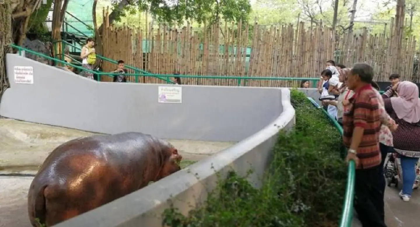 Visitors flock for final Dusit Zoo visits Visitors flock for final Dusit Zoo visits