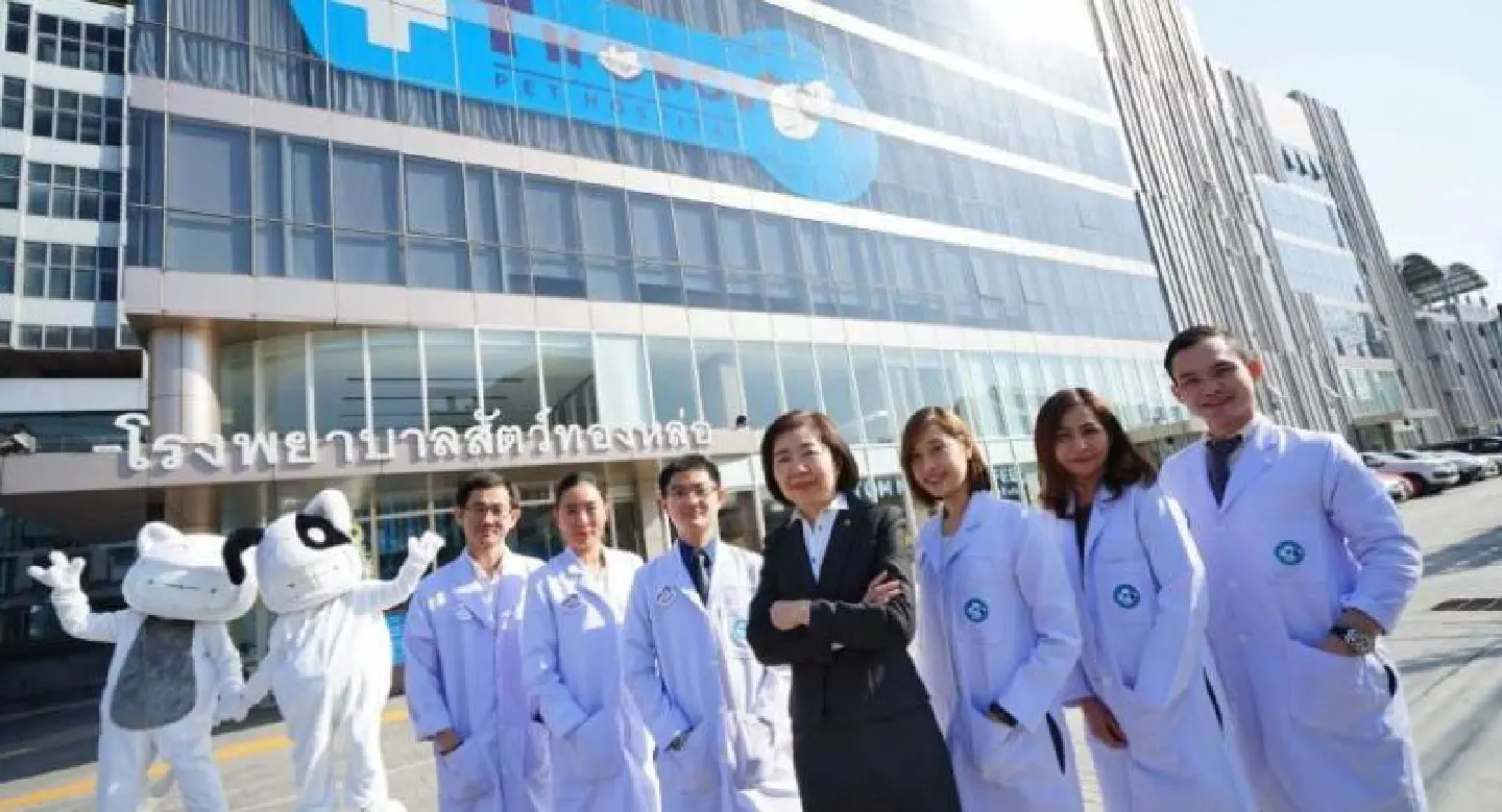 Pet hospital business is booming Pet hospital business is booming