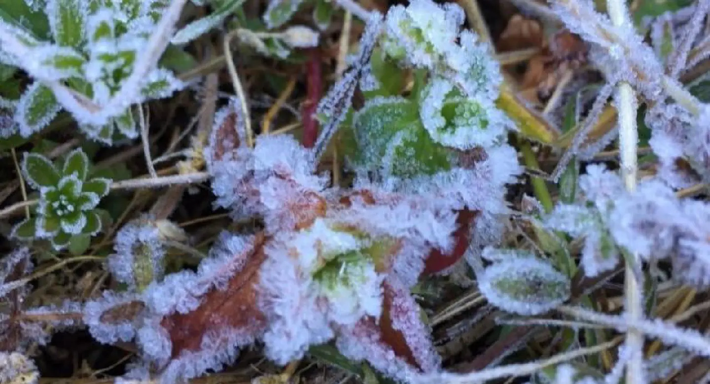 Mercury on Doi Inthanon plunges to minus 2C Mercury on Doi Inthanon plunges to minus 2C