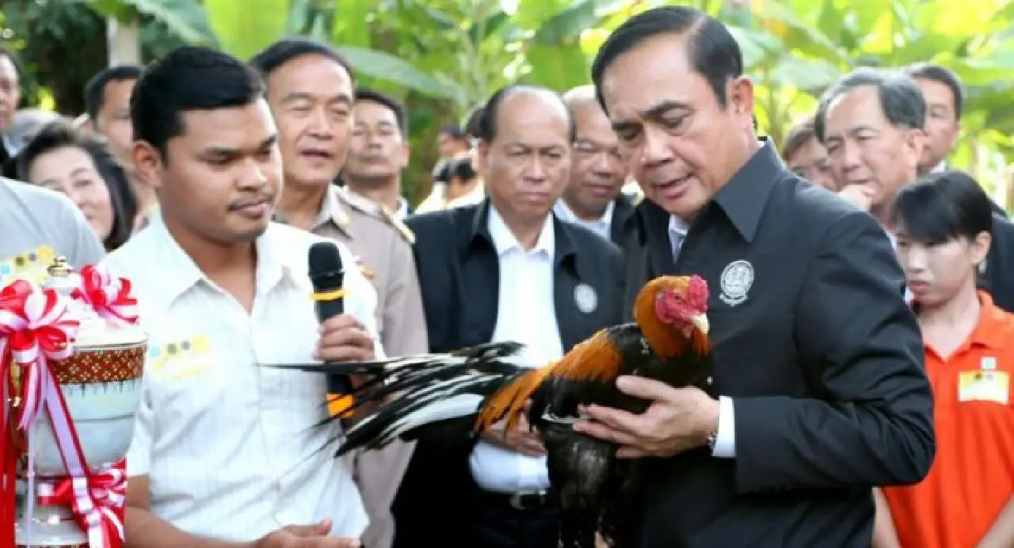 Prayut finds a feathered friend Prayut finds a feathered friend