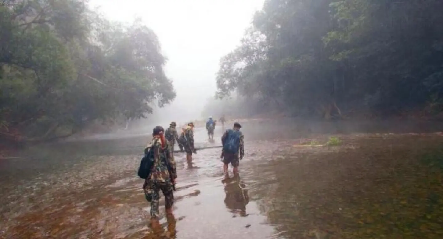 Bid to provide social security for forest rangers Bid to provide social security for forest rangers