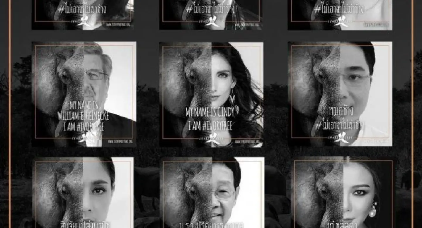 Anti-ivory campaign attracts huge online support