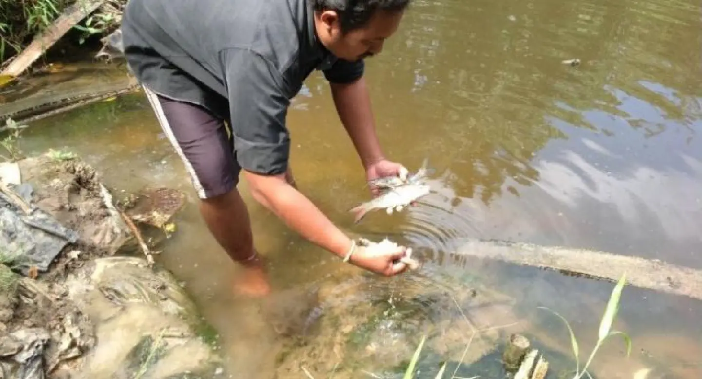Krabi locals complain about ‘stinky, black’ discharge from palm oil factory