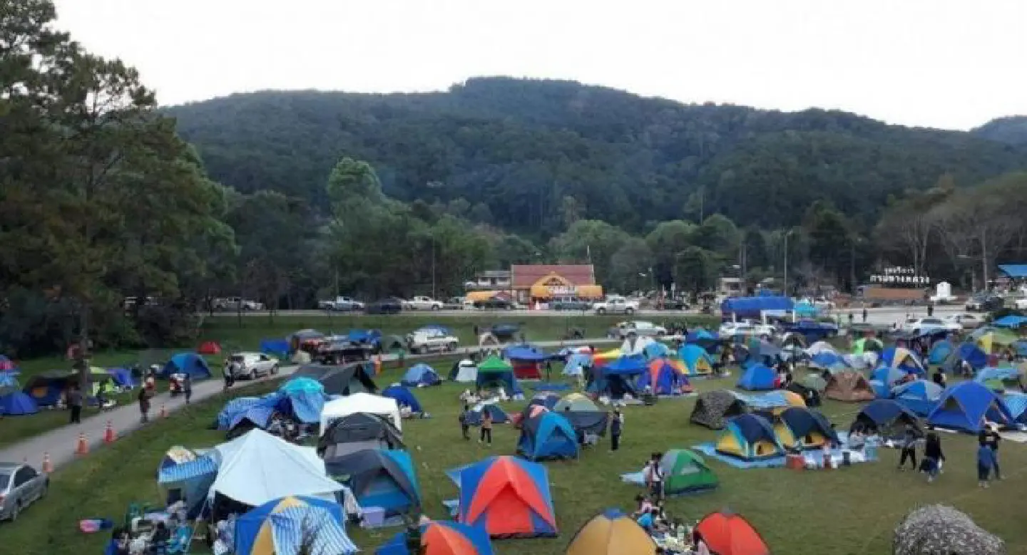 Thousands gather at Doi Inthanon to usher in New Year Thousands gather at Doi Inthanon to usher in New Year