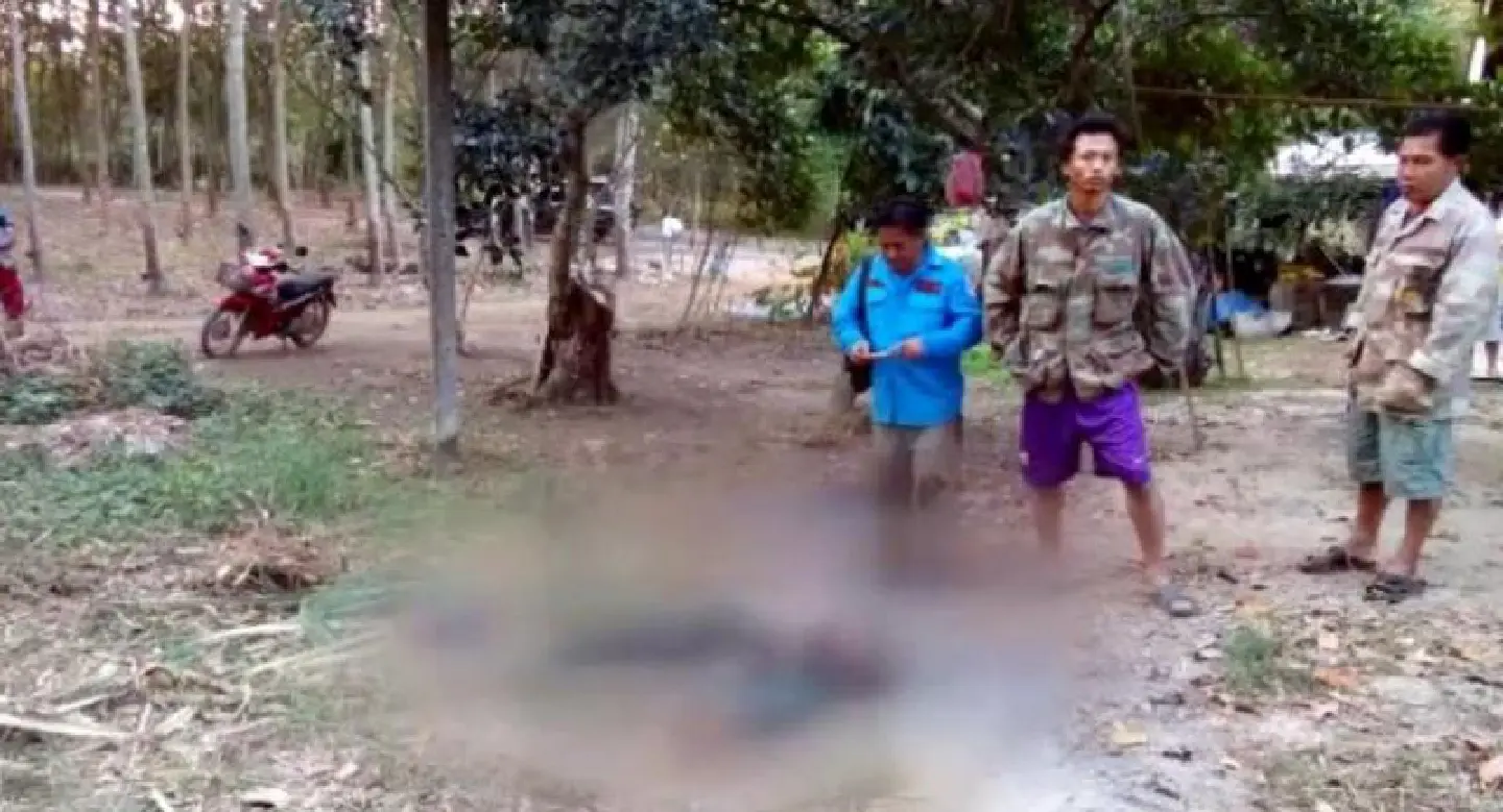 Man killed by wild elephant in Rayong Man killed by wild elephant in Rayong