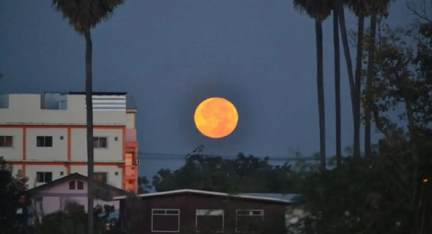 Witness the largest Super Full Moon of the year on tonight’s eastern horizon Witness the largest Super Full Moon of the year on tonight’s eastern horizon