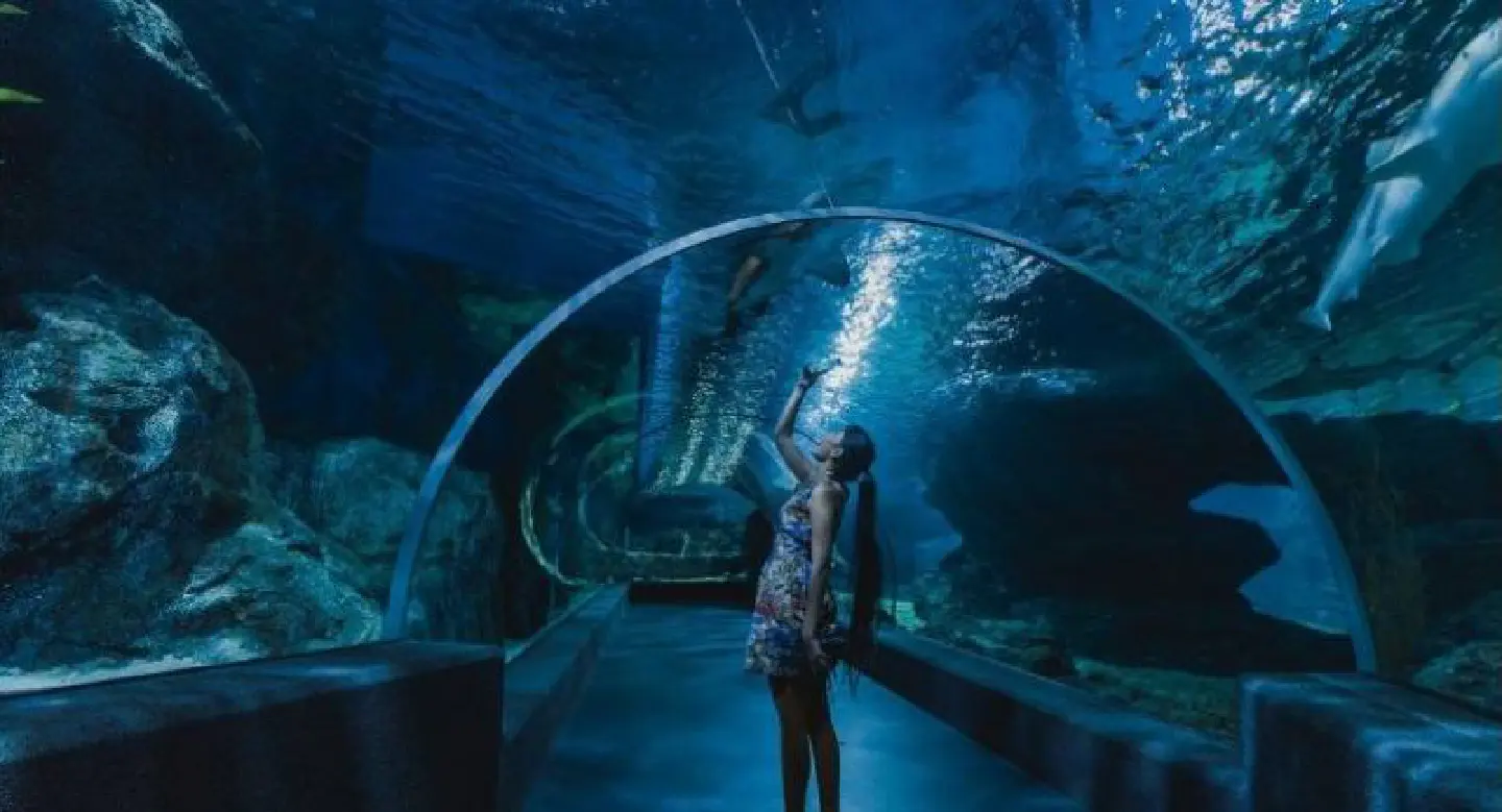 Free Kids Day admission to Sea Life Bangkok Free Kids Day admission to Sea Life Bangkok