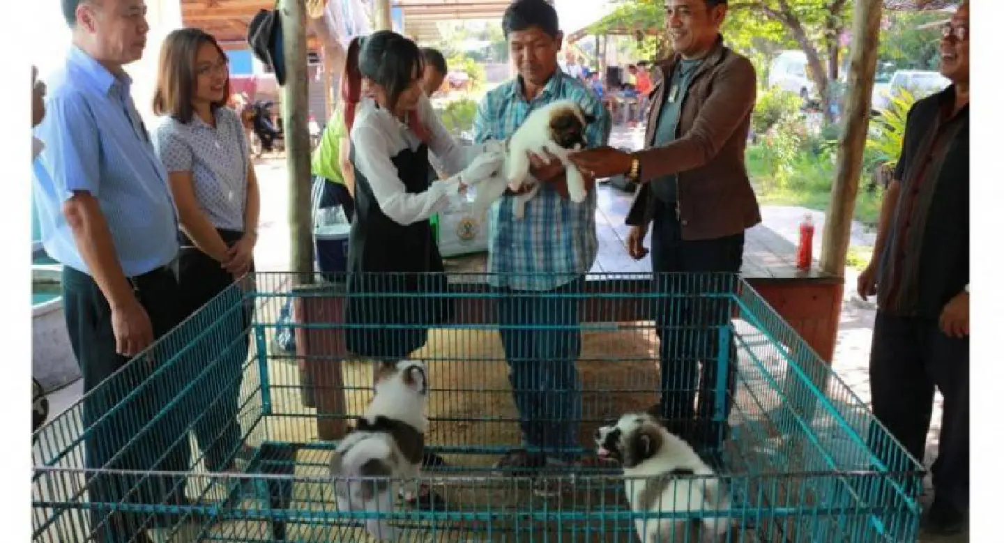 PM backs down as ‘puppy-gate’ graft inquiry piles pressure on alleged govt corruption PM backs down as ‘puppy-gate’ graft inquiry piles pressure on alleged govt corruption