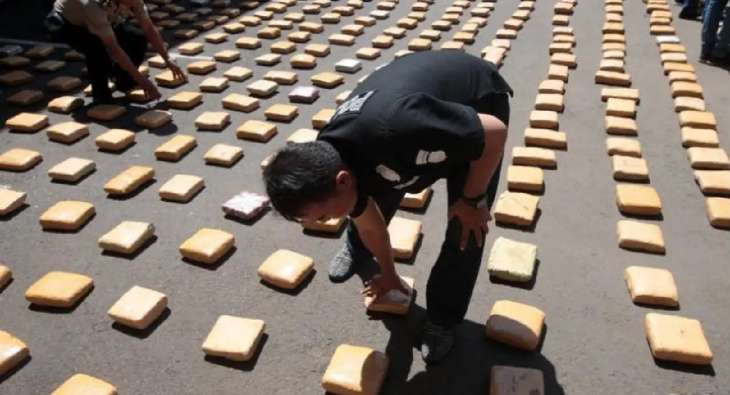Indonesian police officers display 1.3 tons of cannabis in cannabis Indonesian police officers display 1.3 tons of cannabis in cannabis