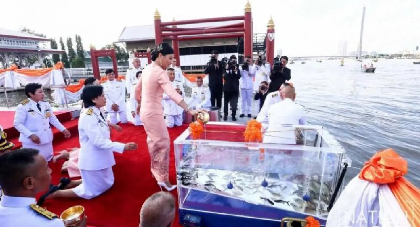 Princess makes merit on birthday by releasing fish into Chao Phraya Princess makes merit on birthday by releasing fish into Chao Phraya