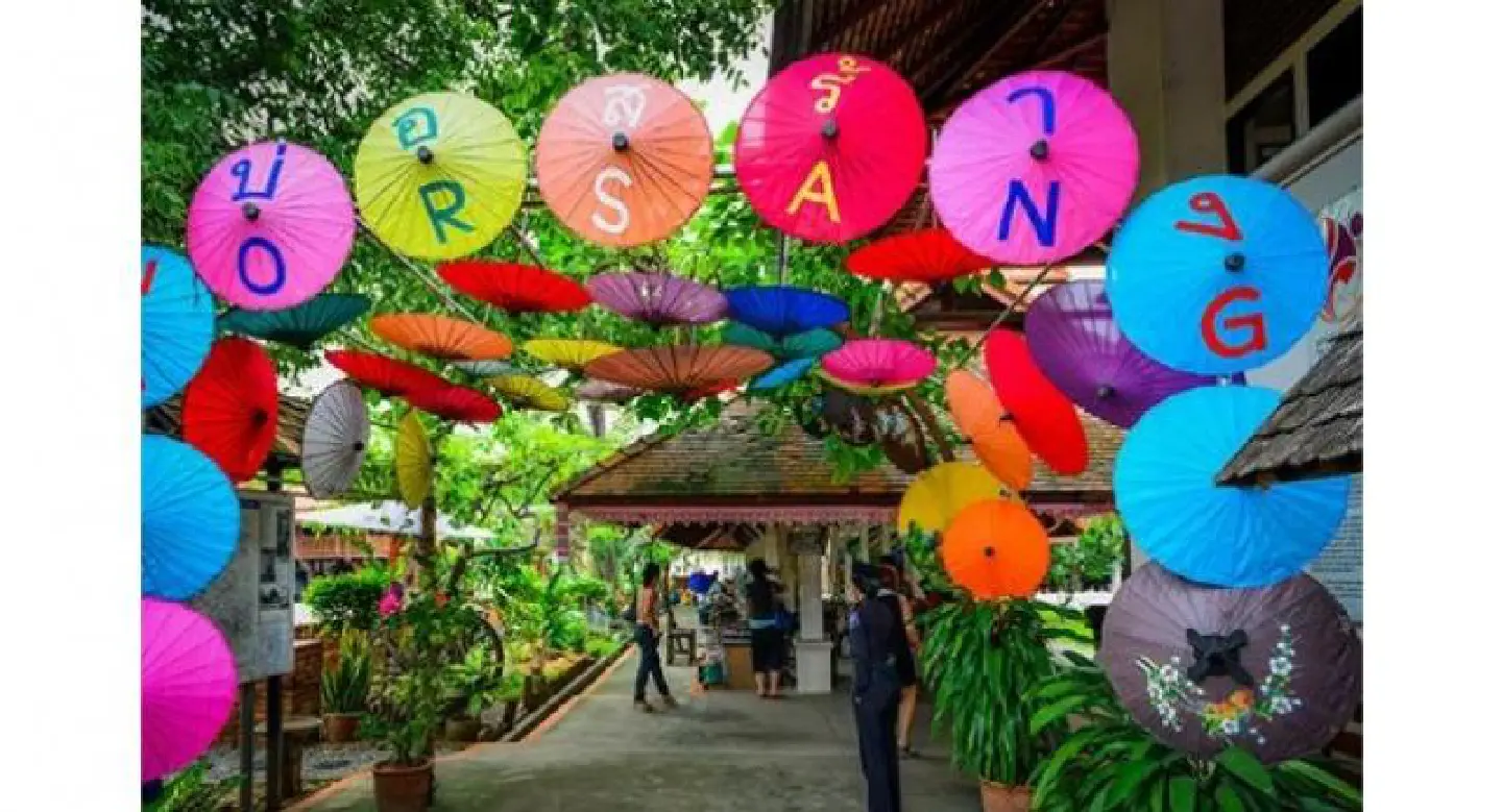 Paper parasols abloom in Chiang Mai