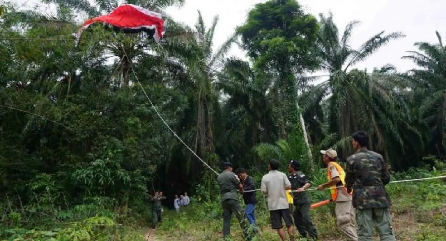 Powered paraglider falls during Children’s Day show Powered paraglider falls during Children’s Day show