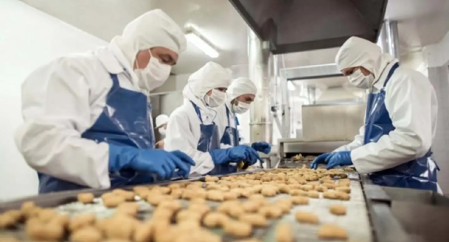 ‘Cobots’ can strengthen Thailand’s food ‘Cobots’ can strengthen Thailand’s food
