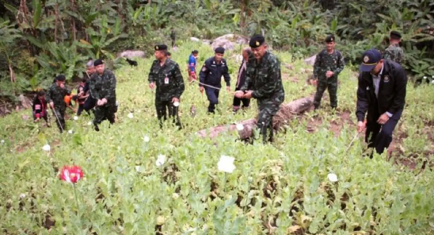Thai crackdown leads to creation of ‘new’ meth in Golden Triangle Thai crackdown leads to creation of ‘new’ meth in Golden Triangle
