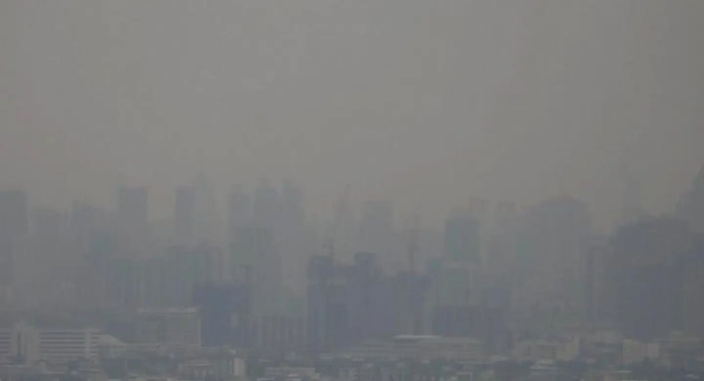 Dangerous pollution levels reduced by recent rainfall: air quality director Dangerous pollution levels reduced by recent rainfall: air quality director
