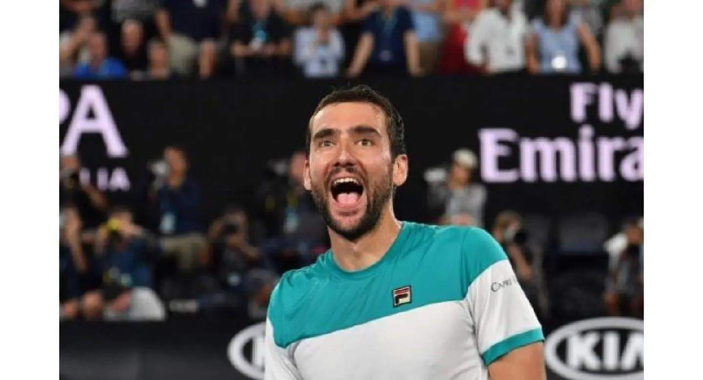 Tennis: Dominant Cilic sweeps past Edmund into Open final