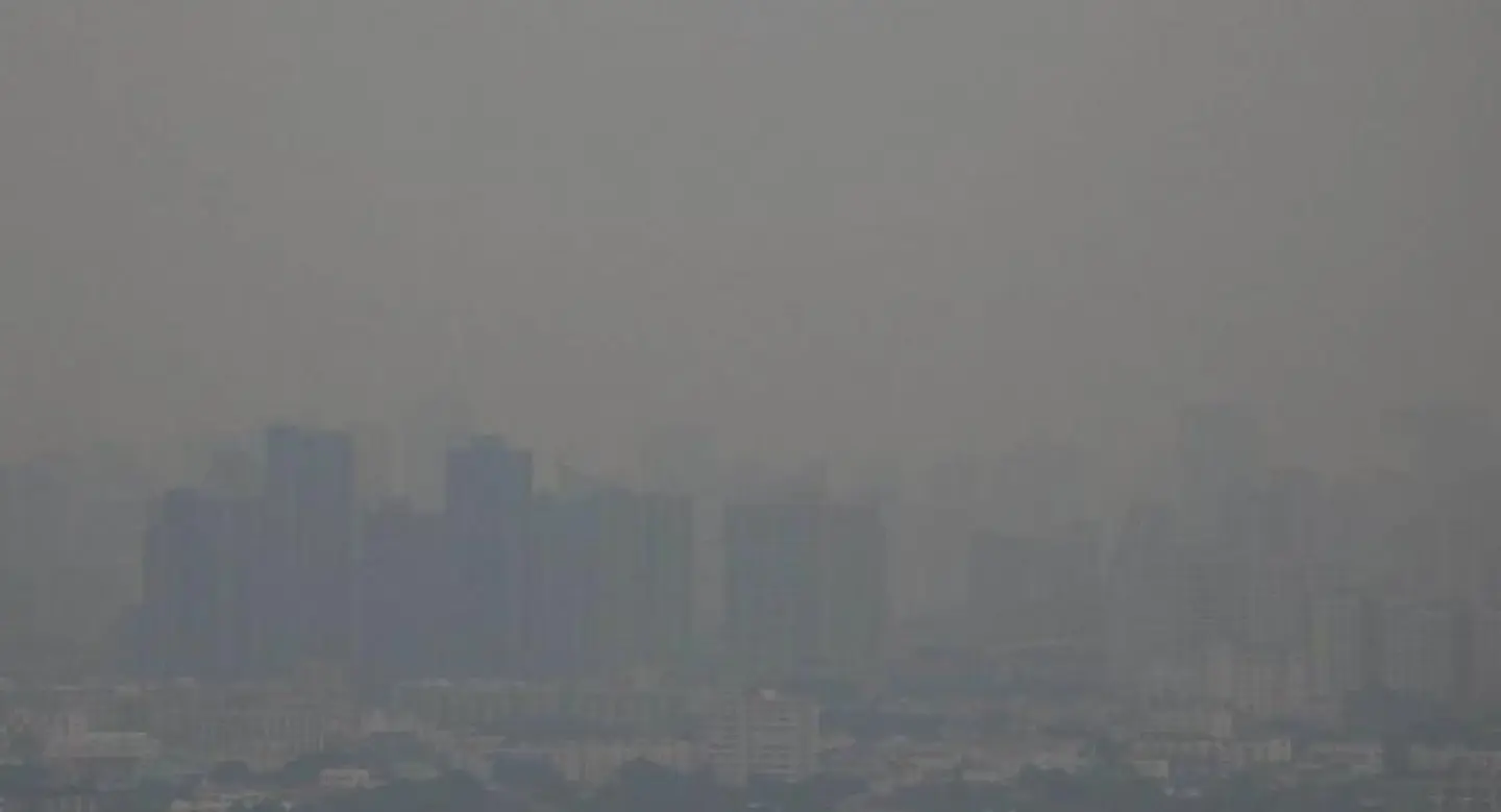 Greenpeace slams officials for failure to warn public about air pollution Greenpeace slams officials for failure to warn public about air pollution