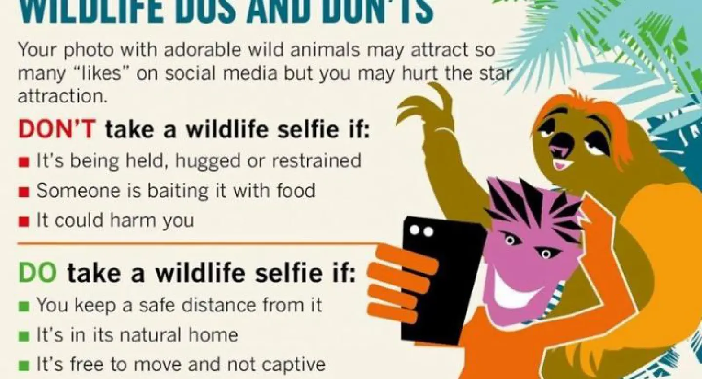 Thailand in the frame for ethical animal selfies campaign