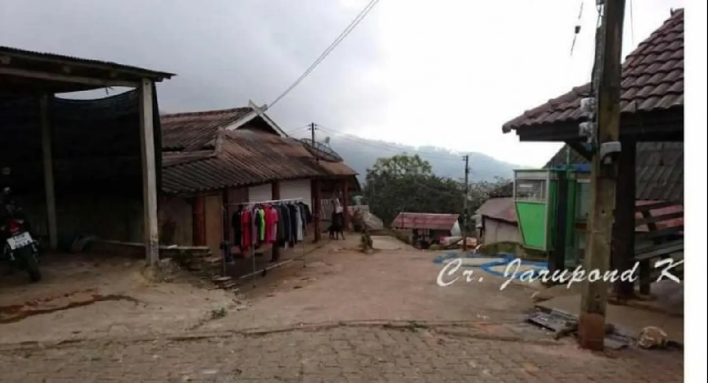 Fearing cull, Chiang Rai villagers vote to keep pets