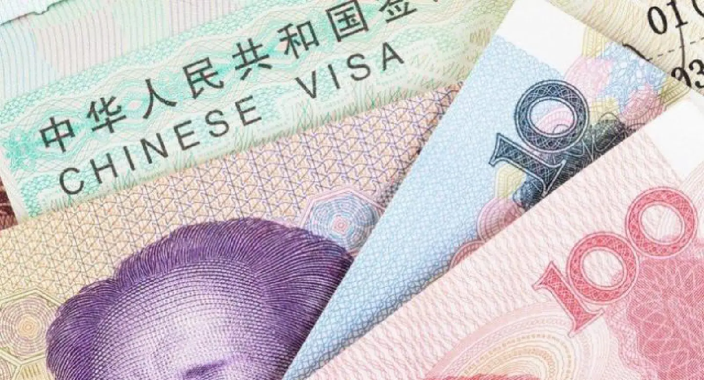 China offers five-year visas to foreigners of Chinese descent China offers five-year visas to foreigners of Chinese descent