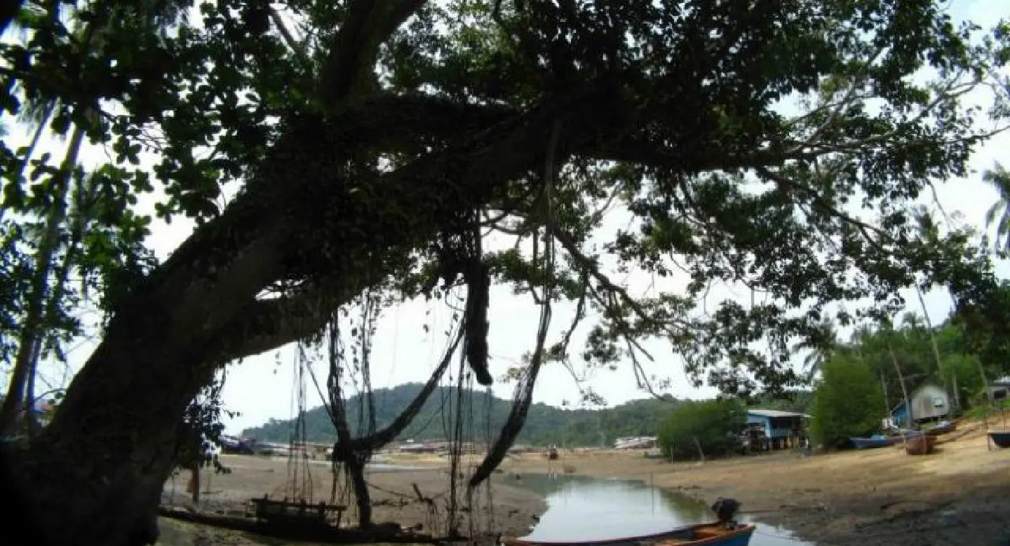 Reservoir to be built on Koh Chang Reservoir to be built on Koh Chang
