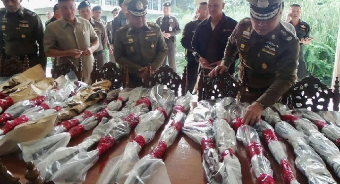 Premchai raid nets weapons, ivory Premchai raid nets weapons, ivory