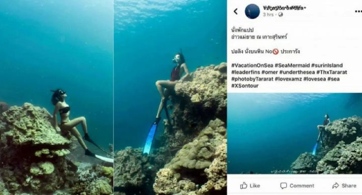 Tourist’s mermaid pose incites wrath over coral damage Tourist’s mermaid pose incites wrath over coral damage