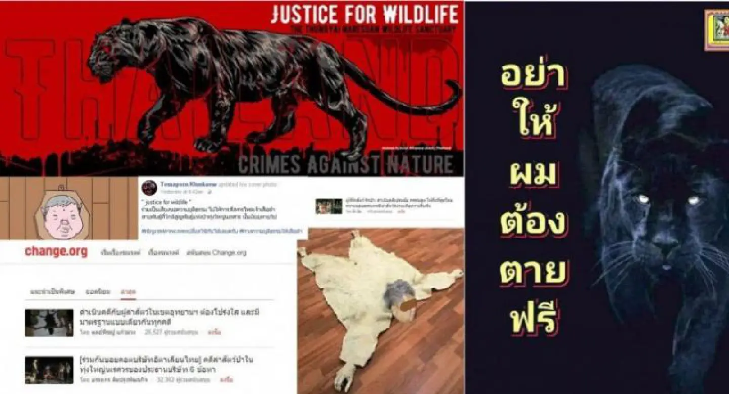 Online outrage over Premchai scandal