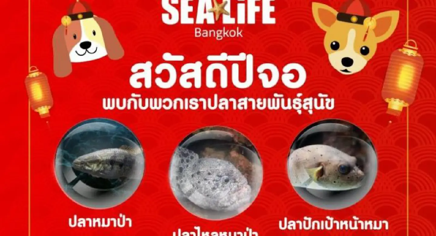 Fishy stories at Sea Life