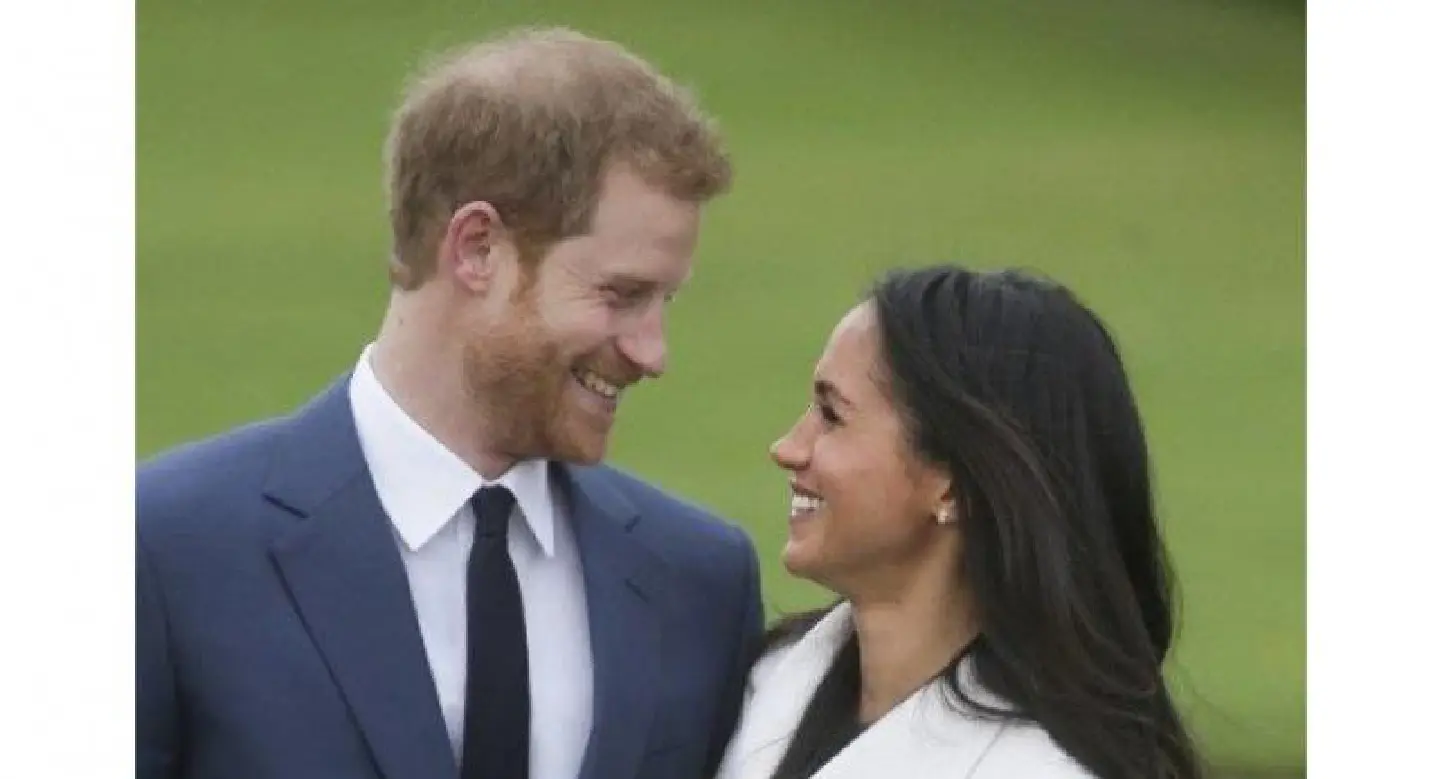 Horse and carriage for Prince Harry and Meghan's wedding Horse and carriage for Prince Harry and Meghan's wedding