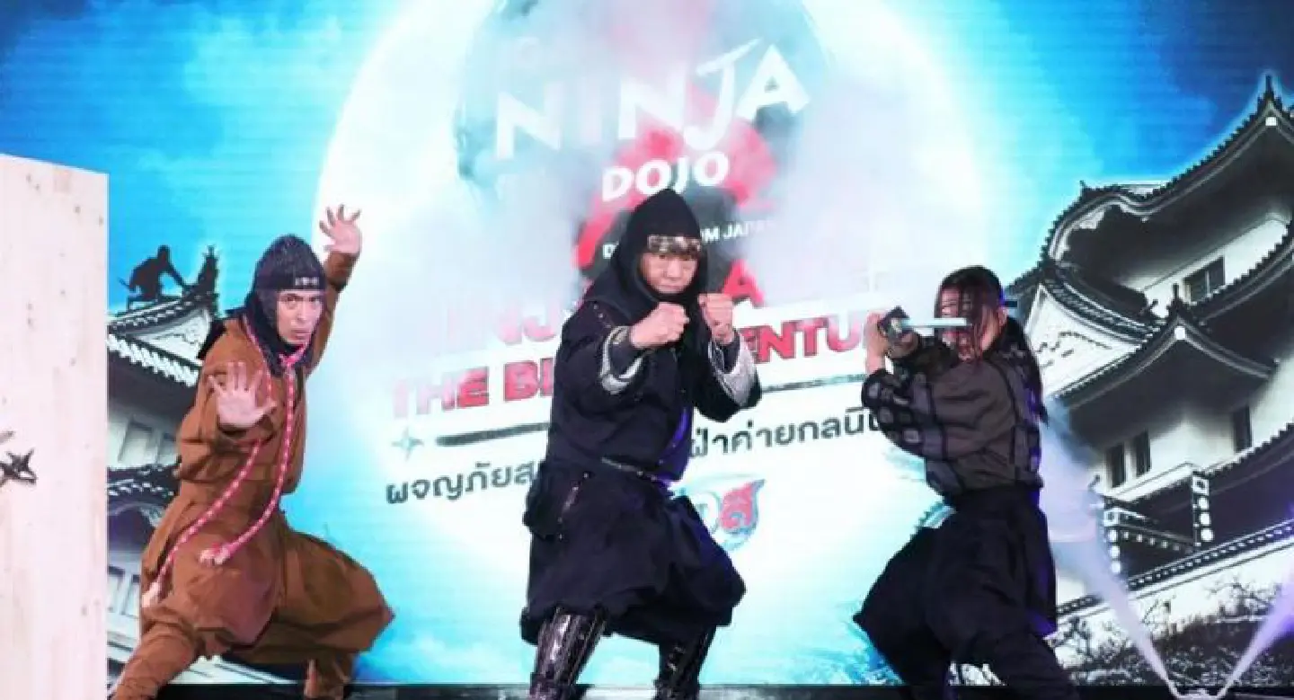 All about the ninja All about the ninja