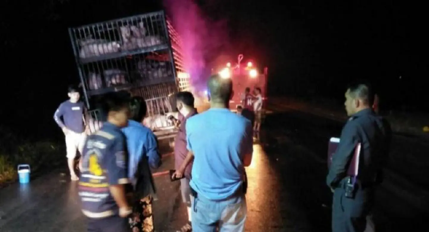 Load of pigs burned to death in Sa Kaew truck fire Load of pigs burned to death in Sa Kaew truck fire