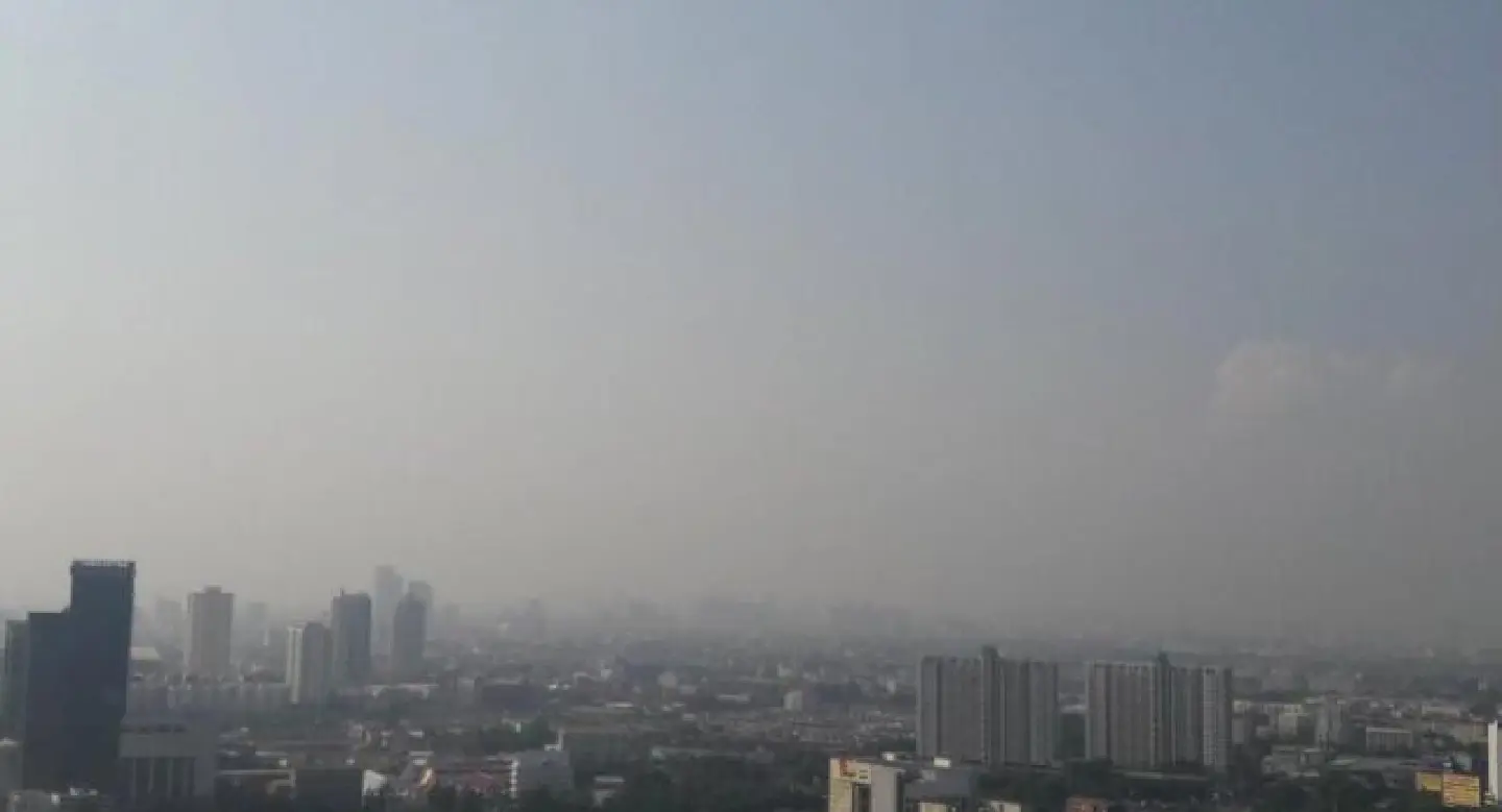 High quality masks needed for pollution High quality masks needed for pollution