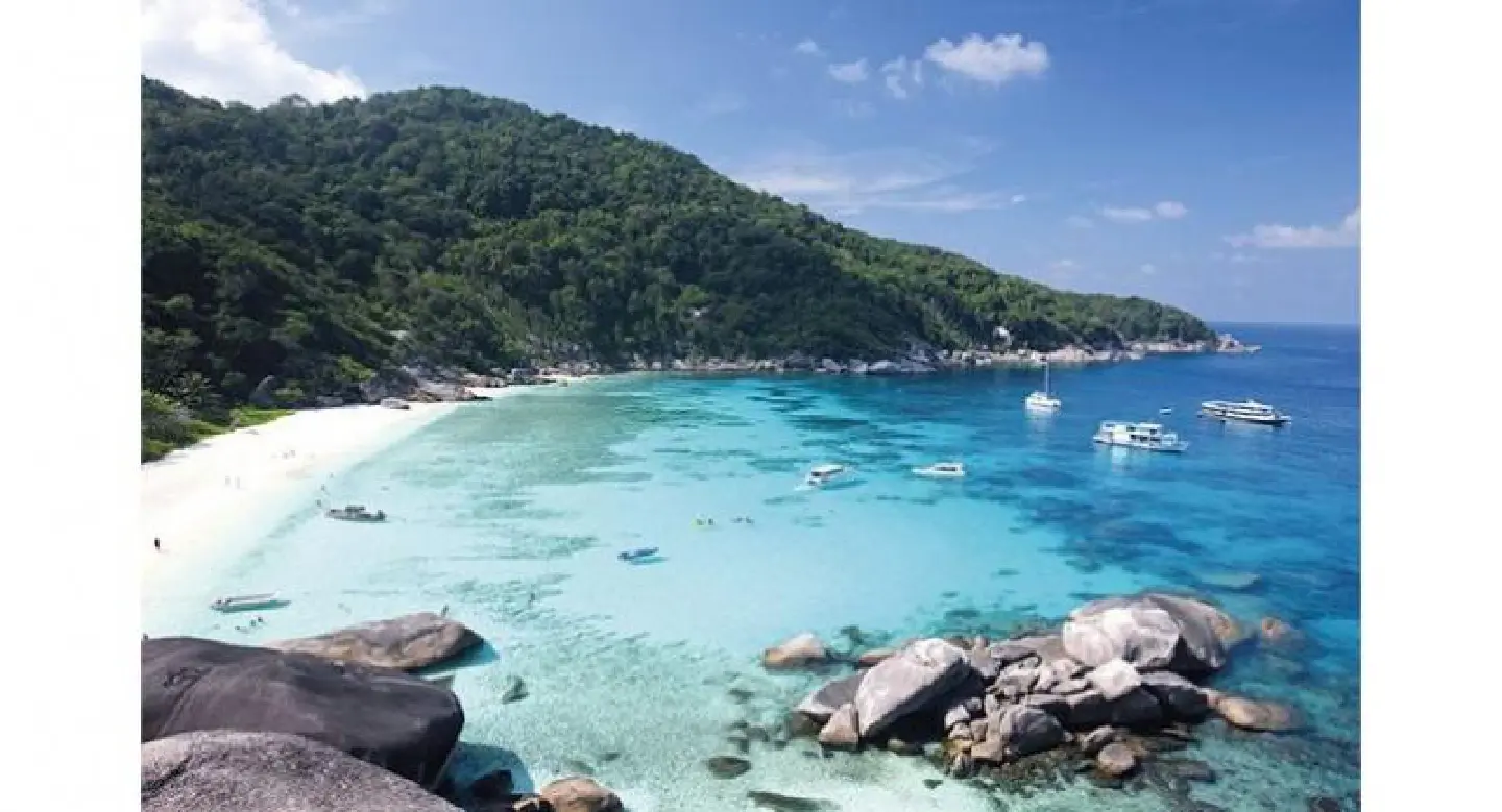 Protecting Thailand’s flora and fauna Protecting Thailand’s flora and fauna